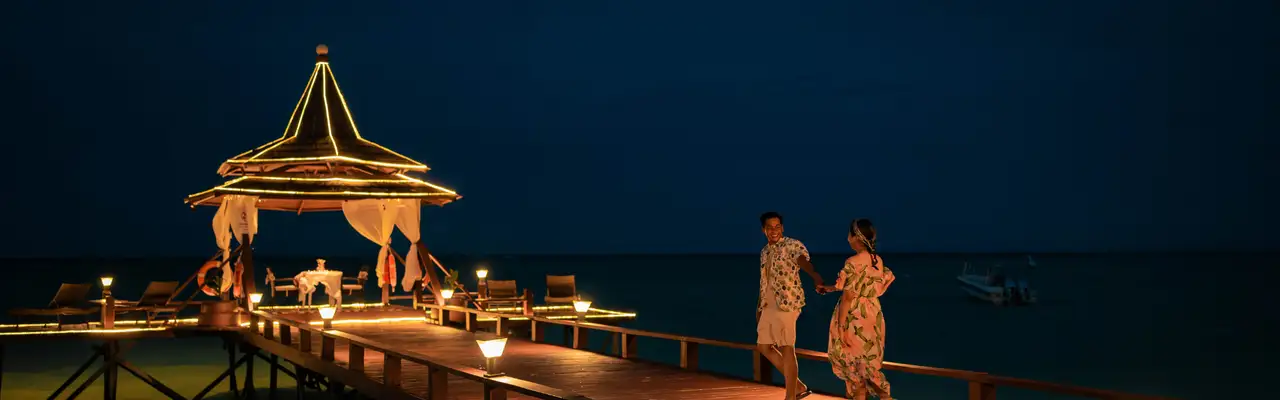 Valentine Dinner cover